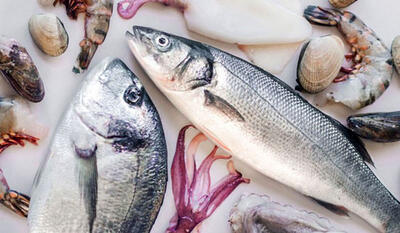 مزایای ماهی کنسروی نسبت به ماهی تازه یا یخ‌زده