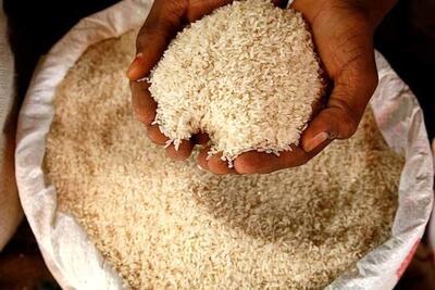 برنج هندی شکست خورد