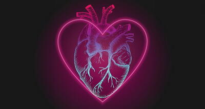 چرا سمبل قلب اصلا شبیه قلب واقعی نیست؟