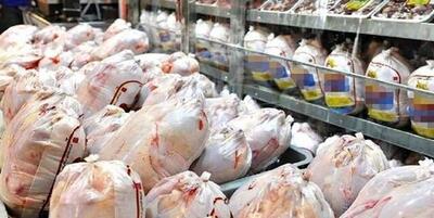 واردات گوشت مرغ متوقف شد