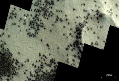 انبوه عنکبوت‌ها روی مریخ