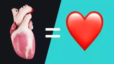 چرا سمبل قلب اصلا شبیه قلب واقعی نیست؟