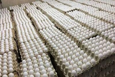 تخم مرغ دونه ای ۲۰۰ هزار تومان شد!