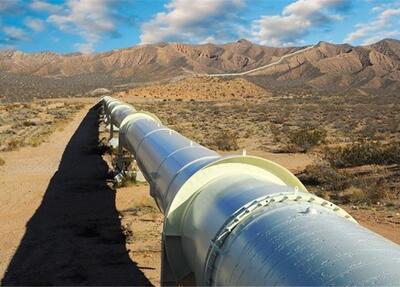 رییس فراکسیون محیط‌زیست: ۷۰۰ شرکت نیمی از گاز کشور را غیربهینه مصرف می‌کنند