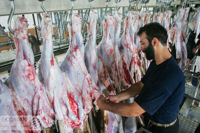 تورم سالانه تولید گوشت از مرز 100 درصد عبور کرد