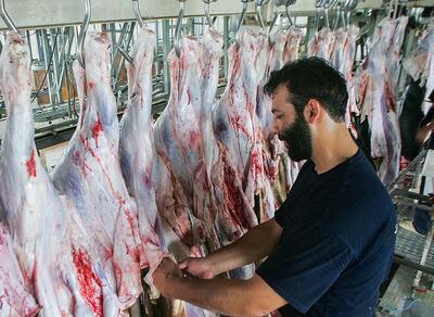 تورم سالانه تولید گوشت از مرز ۱۰۰ درصد عبور کرد | اقتصاد24