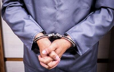 برنا: بازداشت برادرزاده شمخانی تأیید شد