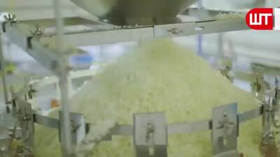 (ویدئو) چگونه کشاورزان آمریکایی «پیاز» را پس از برداشت، فرآوری می کنند؟