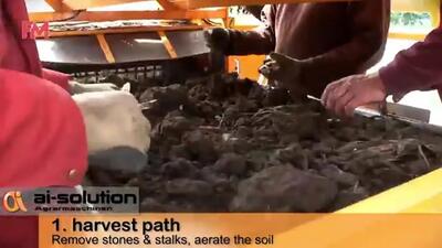 (ویدئو) فرآیند کشت، برداشت و بسته بندی مارچوبه توسط کشاورزان اروپایی