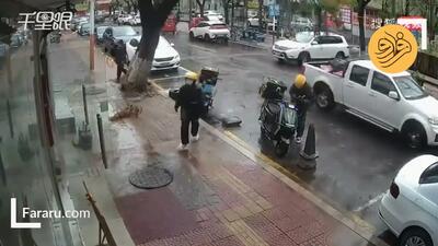 (ویدئو) خوش‌شانسی دو موتورسوار از سقوط درخت