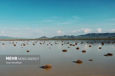 (تصاویر) آبگیری تالاب آق گل پس از سه سال خشکسالی