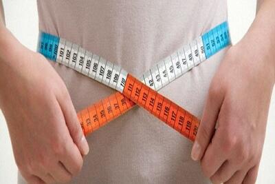 یک چربی مهم در بدن که نباید هنگام کاهش وزن از بین برود