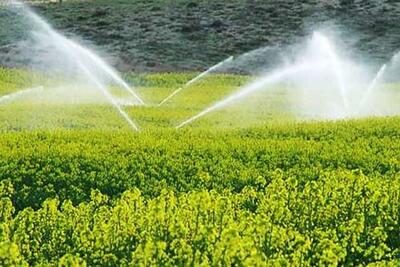 اجرای آبیاری نوین در ۱۰ درصد از زمین‌های پایین دست قنوات خراسان شمالی