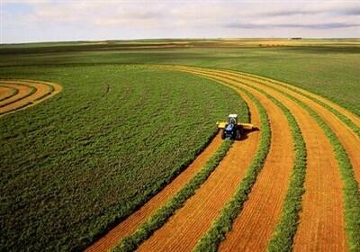 تشکیل زنجیره   سبز   برای تصمیم‌گیری در بخش کشاورزی - تسنیم