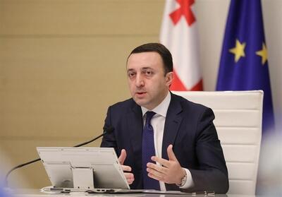 گاریباشویلی قطعنامه پارلمان اروپا علیه گرجستان را رد کرد - تسنیم