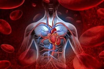استرس و تغذیه فاکتورهای مهم نوسانات حمله قلبی