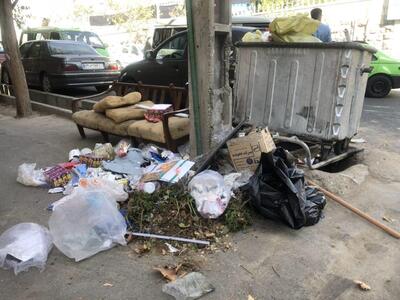ادعای مقام شهرداری: اوضاع نظافت تهران از پاریس هم بهتر است؛ آمار هم داریم