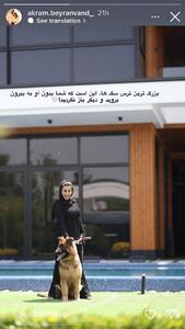 عکس/استوری همسر علیرضا بیرانوند به همراه سگش در ویلای لوکسش | اقتصاد24