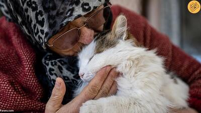 (تصاویر) این زن زندگی خود را وقف گربه‌ها کرد
