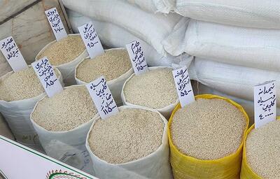 چرا قیمت برنج ایرانی افزایش پیدا کرد؟
