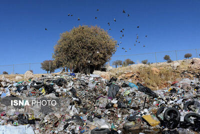 ادامه روند فعلی، نسل آینده را با بحران زباله مواجه می‌کند