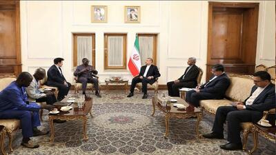 توسعه همه جانبه مناسبات با آفریقا از اولویت‌های سیاست خارجی ایران است