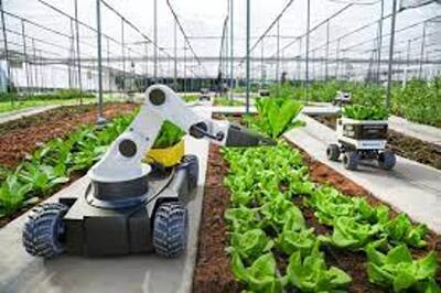 نگاهی به کاربردهای هوش مصنوعی در کشاورزی