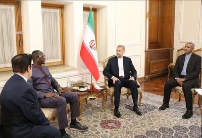 امیرعبداللهیان: توسعه همه جانبه مناسبات با آفریقا از اولویت‌های سیاست خارجی ایران است - عصر خبر
