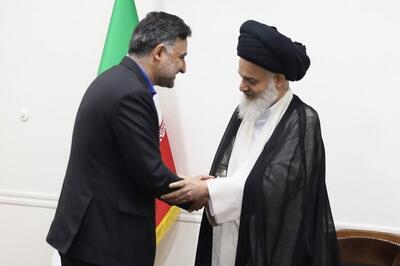 دیدار معاون رئیس جمهور با آیت الله حسینی بوشهری