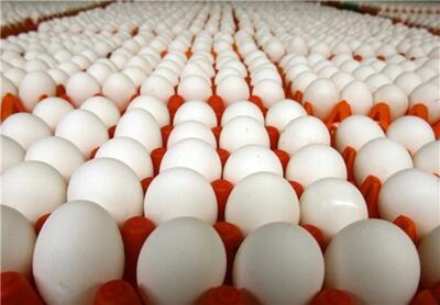 قیمت تخم مرغ امروز ۱۱ اردیبهشت ۱۴۰۳+ جدول | اقتصاد24