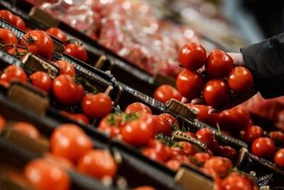 تولید ۳۰۰ هزار تن تولید گوجه‌فرنگی با هدف تامین نیاز بازار داخلی و خارجی