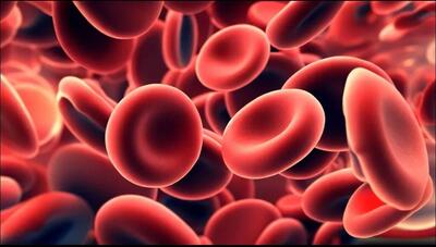 راه های افزایش گلبول قرمز خون با رعایت نکاتی ساده