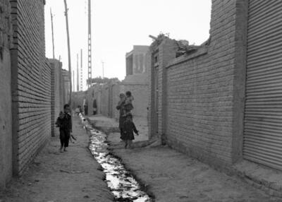 (عکس) سفر به تهران قدیم؛ گاوداری‌های جنوب تهران را تعطیل کنید