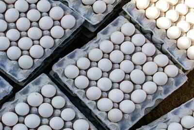 قیمت تخم مرغ امروز ۱۱ اردیبهشت ۱۴۰۳