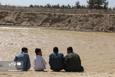 (تصاویر) بارندگی‌های افغانستان دشت خشکیده سیستان را زنده کرد