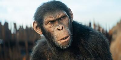 انتشار آخرین تریلر فیلم Kingdom of the Planet of the Apes - گیمفا