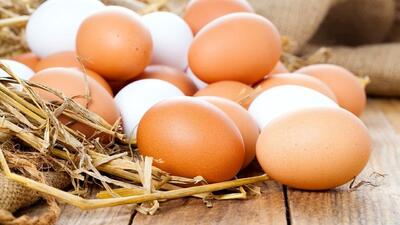 هر شانه تخم مرغ دو زده بالای نیم میلیون شد!