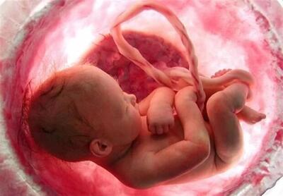 برای مقابله با «سقط» همه دستگاه‌ها پای کار بیایند