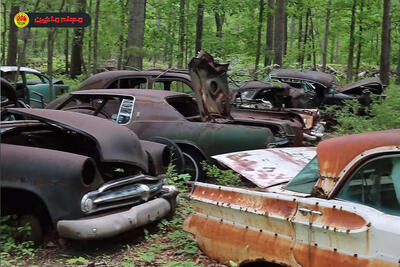 گورستان ماشین‌های کلاسیک / صدها خودرو در دل جنگل رها شده‌اند