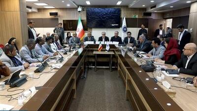 تشکیل شورای مشترک تجاری، سطح همکاری‌ های ایران و آفریقای جنوبی را ارتقا می دهد