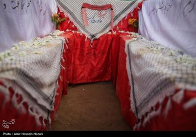 هویت 7 شهید گمنام مدفون در فارس مشخص شد - تسنیم