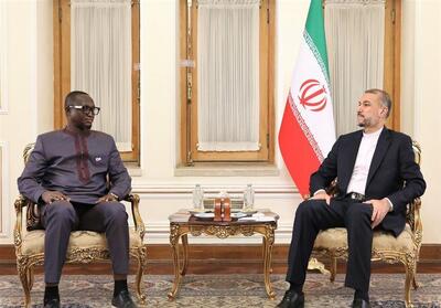 آمادگی ایران برای توسعه مناسبات با آفریقای مرکزی - تسنیم