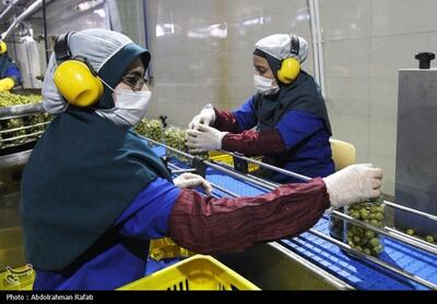 به مناسبت روز جهانی کار و کارگر- عکس صفحه استان تسنیم | Tasnim