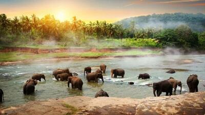 چرا به سریلانکا سفر کنیم؟