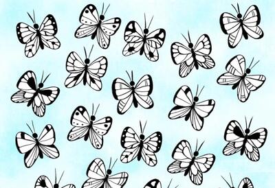 ۲۰ ثانیه فرصت دارید پروانه متفاوت را پیدا کنید