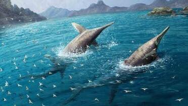 کشف فسیل خزنده دریایی هم‌اندازه نهنگ آبی
