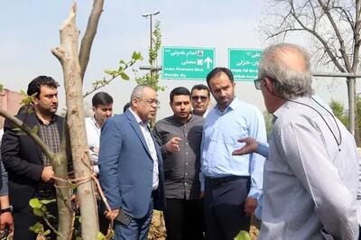 از کاشت ۳۶۰ اصله درخت بومی انجیلی در جاده تهران تا پیشرفت ۹۰ درصدی لوله‌گذاری هدایت آبهای سطحی