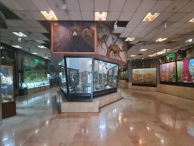 بازدید از موزه تنوع زیستی پارک پردیسان رایگان می شود
