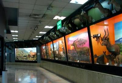 بازدید رایگان از موزه تنوع زیستی پارک پردیسان