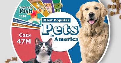 محبوب ترین حیوان خانگی در آمریکا چیست؟